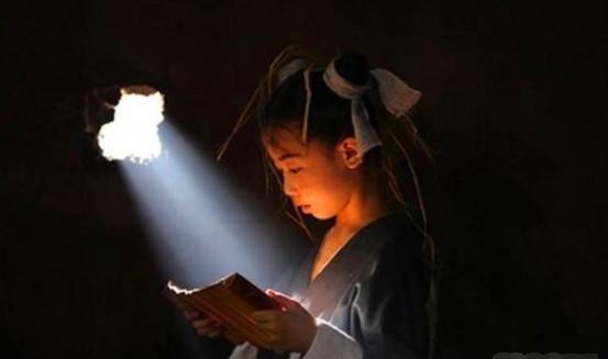 乌龙大家庭 产品图片