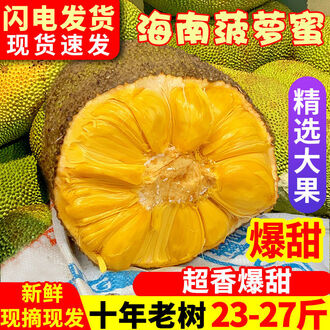 五个吓鬼的少年 相关产品