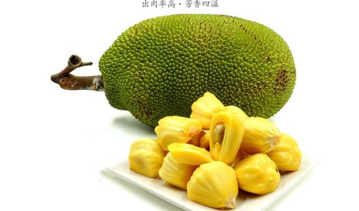 五月的声音 相关产品