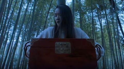 伴我纵横 推荐产品