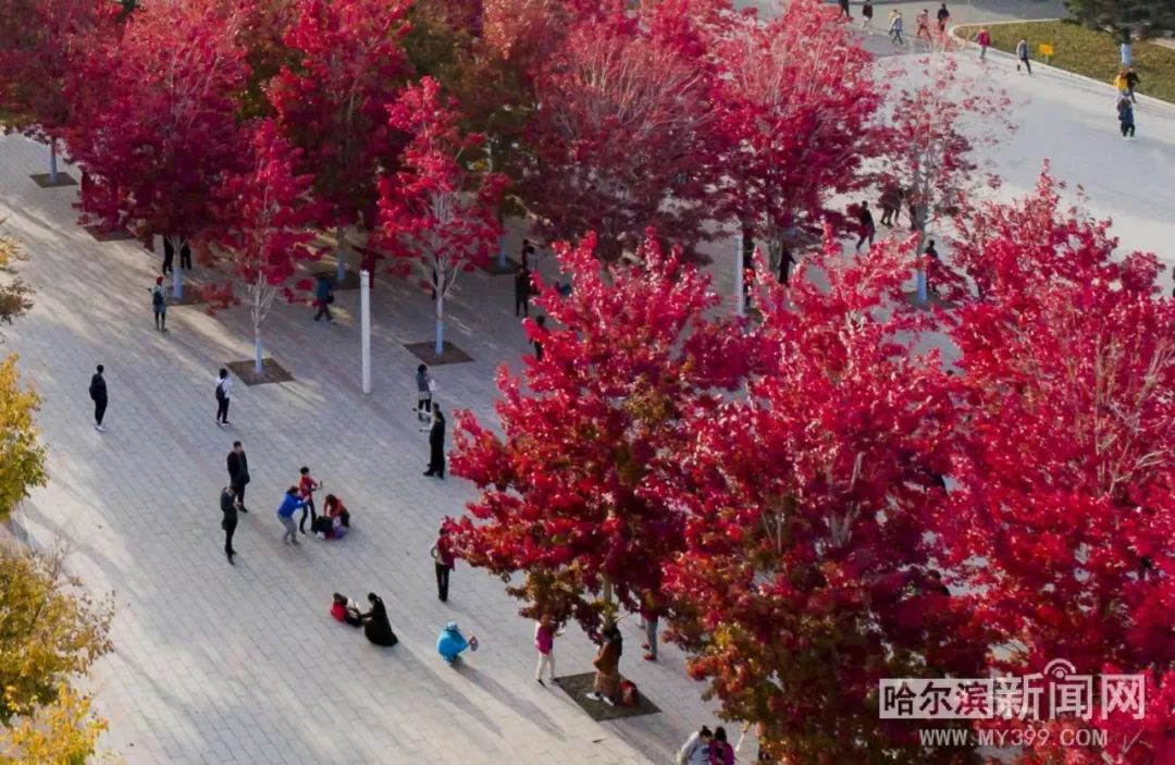 信号100 推荐产品