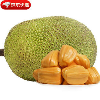 伊凡“雷”帝：回到未来 产品图片