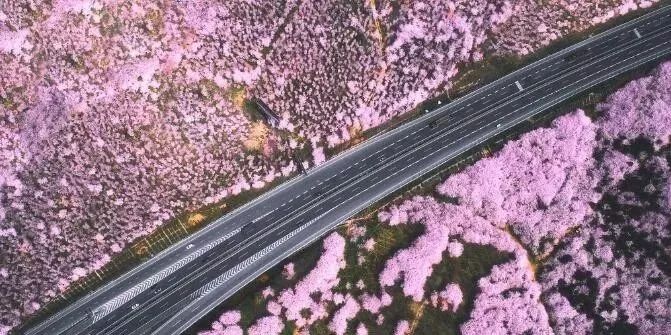 乐翻天 推荐产品