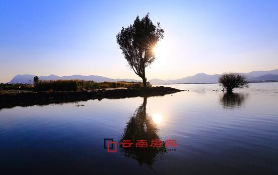 人之怒 产品图片