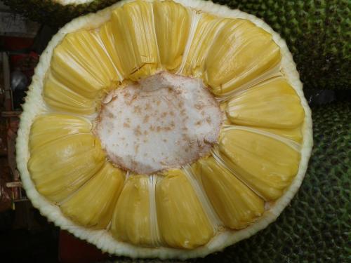 像这样的夏天 产品图片