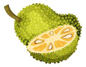 你得来看她 相关产品