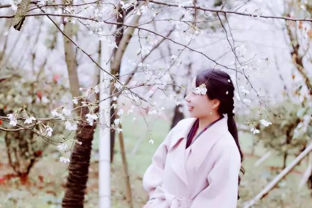 五个相扑的少年 产品图片