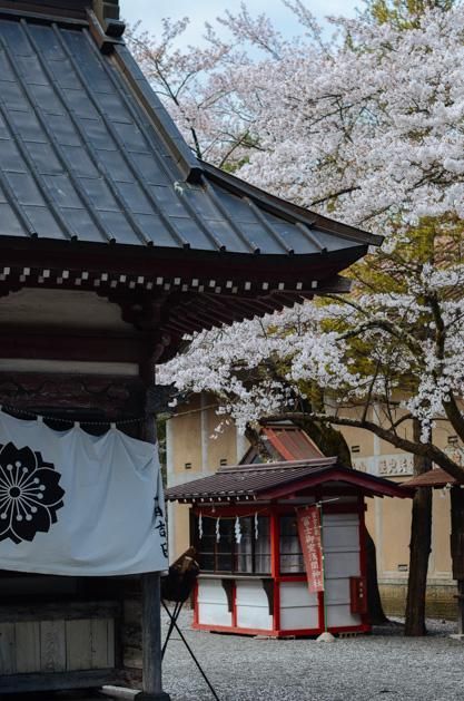 两个独立包装的女人