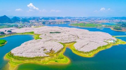 乌龙新院之乌龙秘笈 产品图片