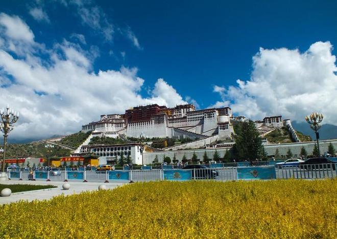 人鬼认证（原声版） 产品图片