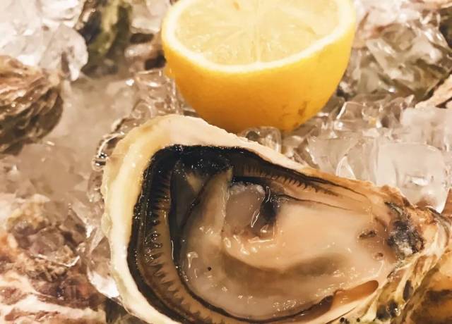 亡灵狂想曲 相关产品