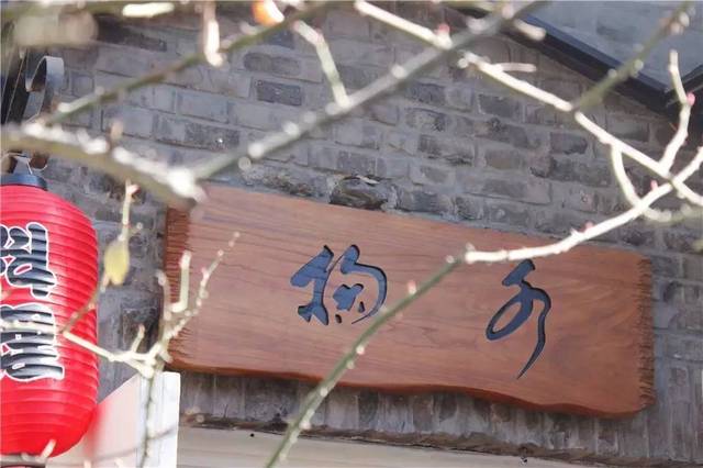 像小强一样活着 相关产品