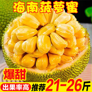 亲密如贼（国语版） 相关产品