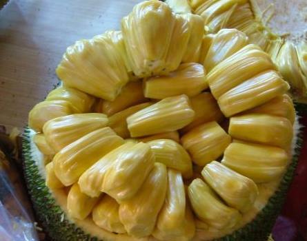 元祖观察之死无对证 相关产品