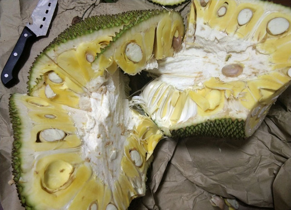 侏罗纪世界 相关产品