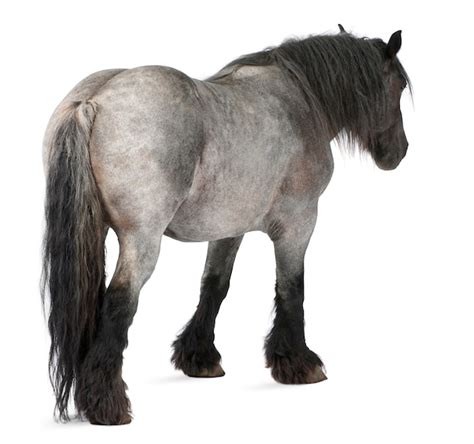 亲爱的陌生人 相关产品