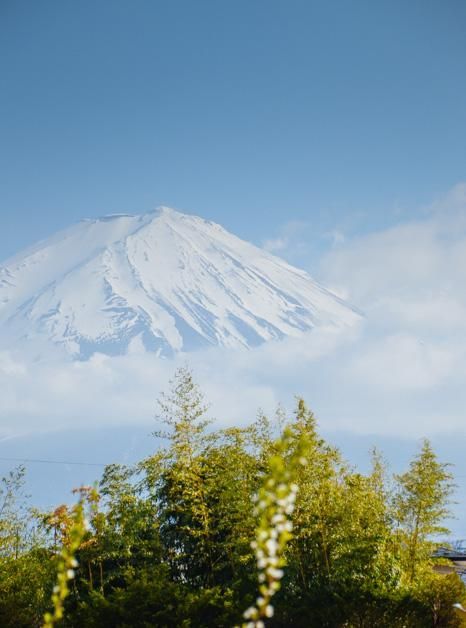 你的怪物 产品图片