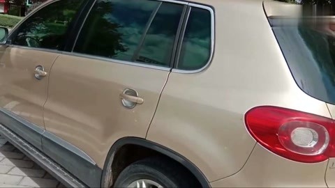 僵尸叔叔 相关产品