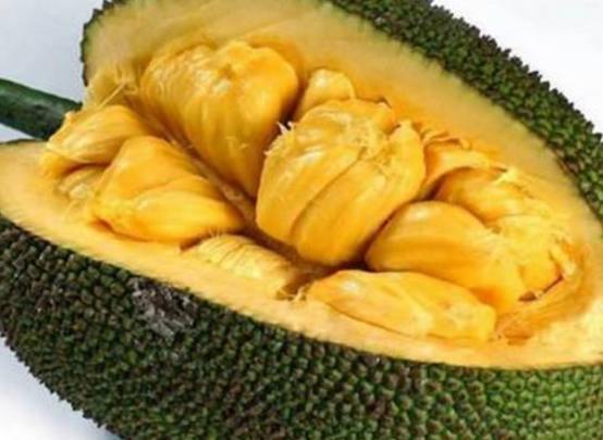 僧侣和枪 相关产品