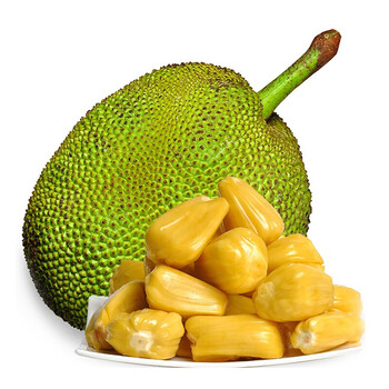 人体蜈蚣2 产品图片