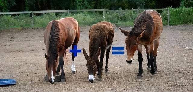 兄弟1986 相关产品