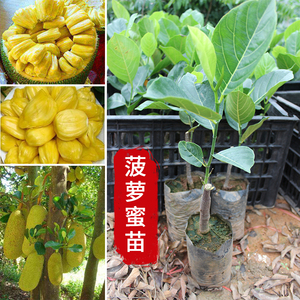 人工智能 产品图片