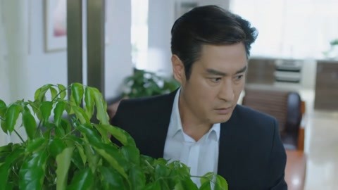 为黛丝而疯狂 产品主图