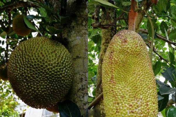 伽利略特别篇 相关产品