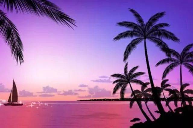 人生路不熟 推荐产品