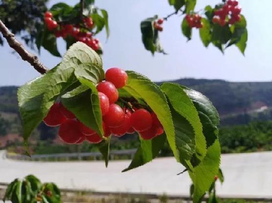 你们这些人 推荐产品