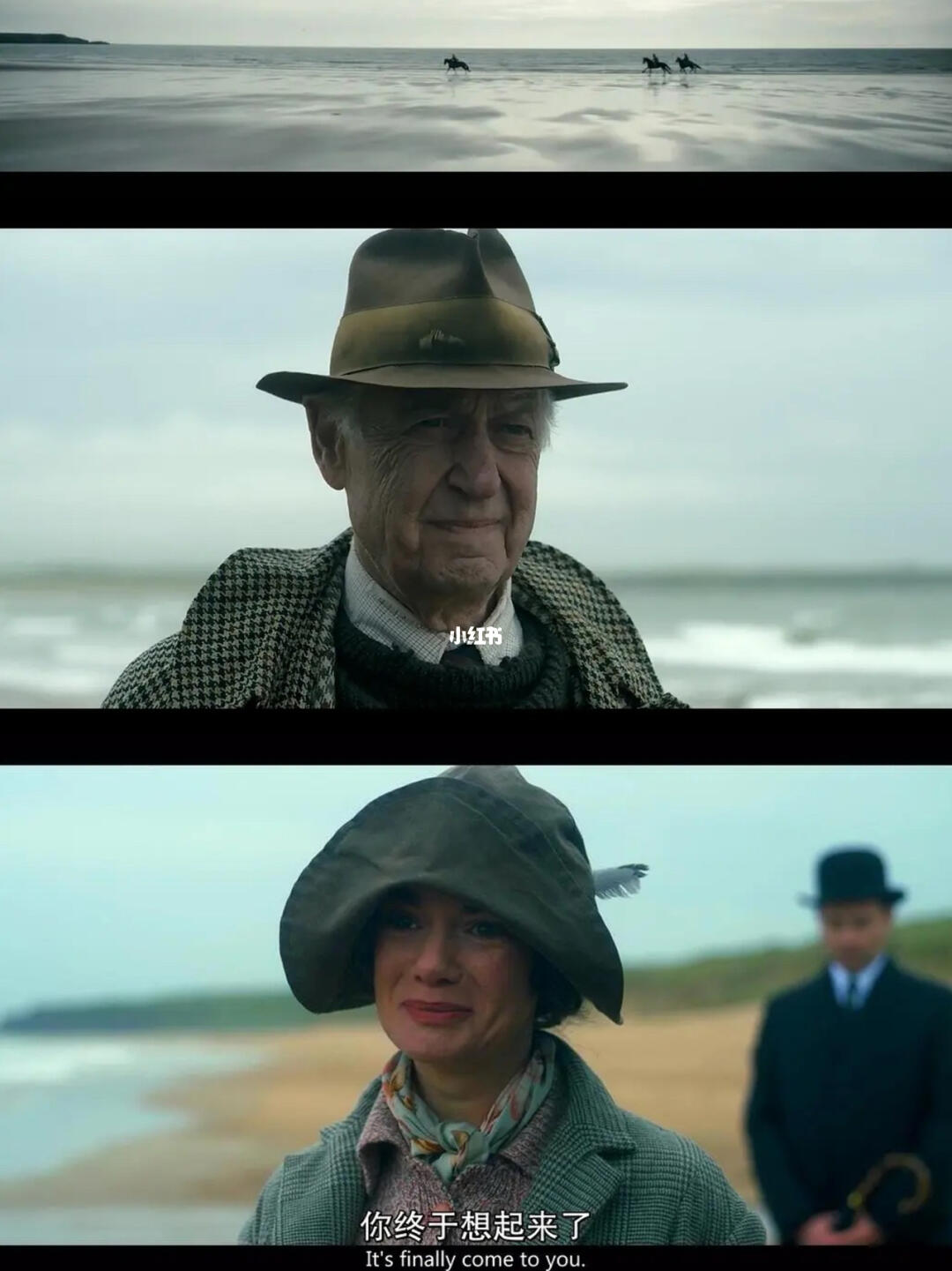 传承叶 产品图片