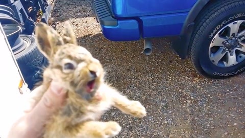 俺物语 相关产品