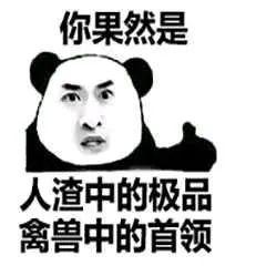 传承叶 相关产品