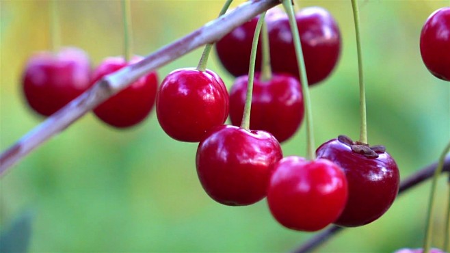 你伤害了我 相关产品