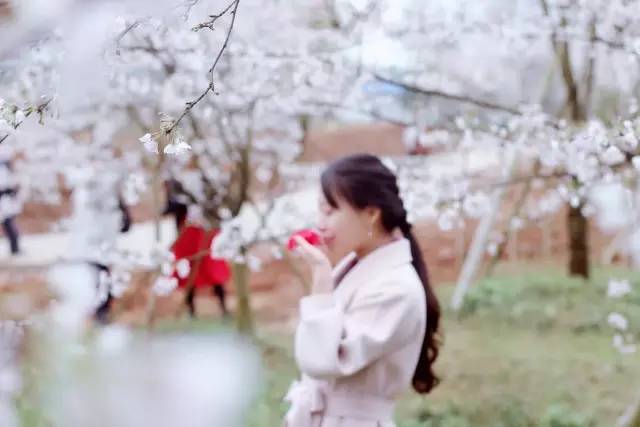 人狗奇缘 产品图片