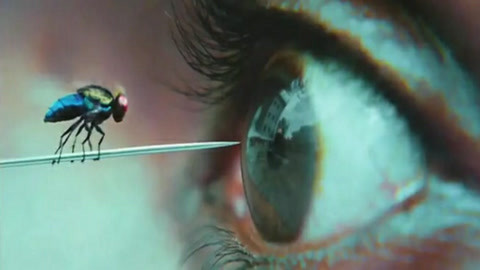 催泪剂 相关产品