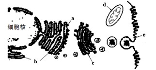 五音不全 产品图片
