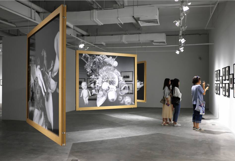 佐州自救兄弟 相关产品