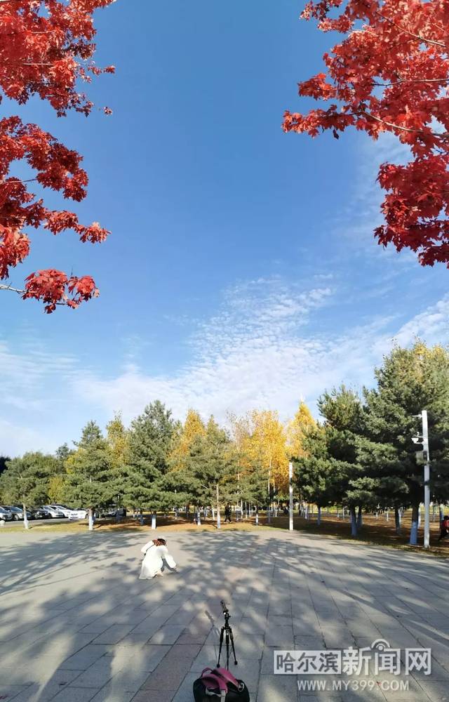 侠盗联盟（原声版） 相关产品