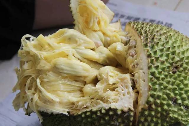 仙厨奇缘 相关产品