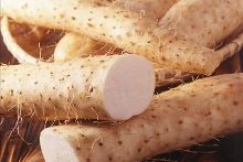 伏魔录之灵山之谜 产品主图