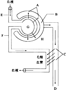 元首偷走了粉兔子 产品图片