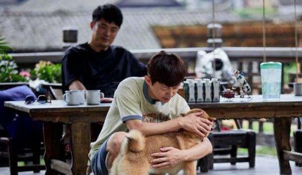 亡命追踪（国语版） 推荐产品