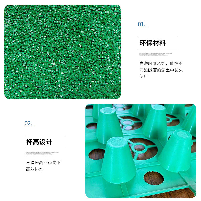 伊伦嘉：诱惑的艺术 相关产品