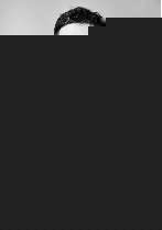 侏罗纪世界：重生 相关产品