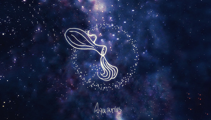 二麻租媳妇 相关产品