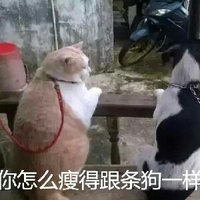 中华赌侠（国语版）